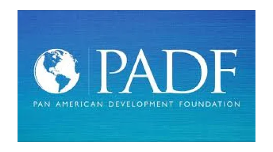 Frame 1171276303 (1)