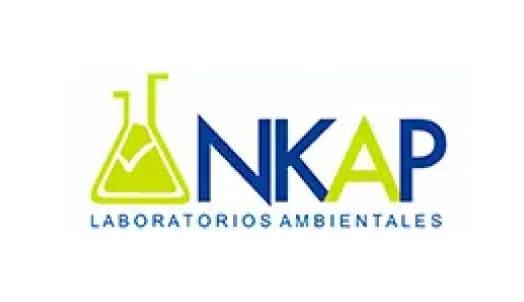 Frame 1171276307 (2)