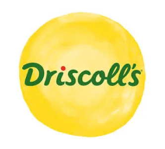 Frame 1171276311 (1)